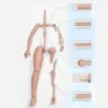 1/4 الذكور Imomodoll Doll Doll Parts 38cm Right Boy Boy Body BJD MJD White/Tan Skin DIY Girl Toys Dress Up Fashion عيد ميلاد هدية 240308