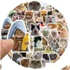 Araba Çıkartmaları 50 PCS İnternet Ünlü Kitty Meme Sticker Komik Kedi ITI DIY LAGE Dizüstü Bilgisayar Kaykay Motosiklet Bisiklet Damlası Teslimat Ot7nh