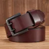 4,3 cm breit dicke echte Kowskin Original Ledergürtel für Männer hochwertige lässige männliche Gürtel Doppelstift Schnalle Cowboy Business Armband 240312
