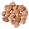 Małe szorstkie pomarańczowe piasek róży róży kamienne skały piękny naturalny surowy gips kwiat róża selenit kryształowe okazy klastra dekoracje Chakra uziemienia energia