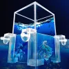 Stands 3pcs Fish Bracket Clear Fish Support Tools Clear Aquarium Fish Glass Cover Holder Landscape Holder