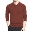 Automne Polo Pull Chemises Hommes De Base À Manches Longues Pulls Slim Fit Affaires Épaissir Classique Polo Mâle Hiver Taille S-3XL 240326