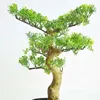 Dekorative Blumen 1pc Künstliche Pflanze Topfbaum Grün Bonsai Und Kunststoff OrnamenteHome El Garten Hochzeit Dekoration