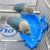 Karmienie 2PCS Ptakowe kąpiele wanna Miska Miska Basin Parrot Klatka wiszące pudełko kąpielowe pudełko pudełka pudełka