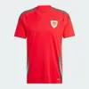 2024 25 Galler Futbol Formaları Balya Wilson Allen Ramsey Dünya Milli Takım Kupası Rodon Vokes Ev Futbol Gömlek Kısa Kollu Yetişkin Üniformaları Hayranlar Oyuncu Versiyonu