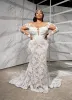 Mermaid Wedding Dresses With Detachable Train African Lace V-Neck Long Seleeve Country Garden Boho Bridal Gowns Off The Shoulder
