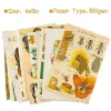 Klistermärken 50st Vintage Botanical Tarot Estetic Wall Collage Kit Flora Fauna Insects Illustration Art Affischer Card Room Decor