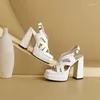 Sandalen Mode mit Absätzen formelle Schuhe für Frauen Hochzeit quadratischer Absatz hohe Kreuzriemen Plattform Schnalle