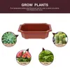 10Pcs Flowerpot Bonsai Pots Plastic Household Centerpieces Planter Gardening Container Office Cactus Succulent Plant Flower Pot 240311