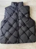 Kvinnors västar Vest Jacket för kvinnor Vinter 2024 Fashion Warm Black Weave Knited Fluffy Solid ärmlösa jackor Casual Vintage Park