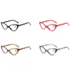 Sunglasses Sexy Fashion Reading Glasses Women Cat Eye Transparent Magnifier Vision Plus 1.0 1.5 2.0 2.5 3.0 3.5 4.0