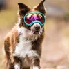 Tillbehör Atuban Dog Goggles Anti UV Stark påverkan motstånd Justerbar elastisk valp stor rashundglasögon andningsbara husdjur solglasögon