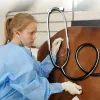 Tillbehör Stetoskop för veterinärgris Fårhästens nötkreatur Hjärtfrekvens Stetoskop Animal Diagnostisk verktyg Vet Studentutrustning