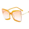 Occhiali da sole Designer di marca T 2024 Occhiali da sole quadrati oversize da donna Occhiali da sole femminili con montatura grande Tonalità colorate Fpr Oculos