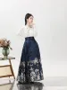 Camisa tradicional china Hanfu falda con cara de caballo conjunto de dos piezas traje de primavera y otoño falda Hanfu vestido Mamianqun ropa de mujer