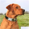 Hundehalsbänder, Leinen, Halsband, Nylon, personalisierbar, individuell, ID-Tag, graviertes Namensschild, Haustier, Katze, Anti-Verlust für kleine, mittlere, große Hunde, Drop de Dhw0q