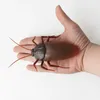 Halloween RC Snake Remote Control Animal Insect Toy Kit for Child Kids Adults Cockroach Spider Ant Prank Jokes for Boys Pet Cat 240307