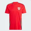 2024 25 웨일즈 축구 유니폼 베일 윌슨 램지 세계 대표팀 컵 로돈 셔드 홈 풋볼 셔츠 짧은 슬리브 성인 유니폼 팬 플레이어 버전