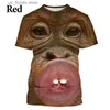 Erkek Tişörtler Komik Maymun Dudak Grafik Tişört Erkekler Giyim 3D Parodi Goril Orangutan Baskı T-Shirt Unisex Boy Kısa Slve Üstler Y240321