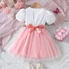 Robes de fille mignon joli enfants enfant en bas âge filles robe broderie fleur bouffée à manches courtes dentelle princesse fête bal Tulle 1-5 ans