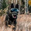 Tillbehör Atuban Dog Goggles Anti UV Stark påverkan motstånd Justerbar elastisk valp stor rashundglasögon andningsbara husdjur solglasögon