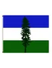 Independence Movement Cascadia Flags Banners 3X5FT 100D Polyester Design 150x90cm Fast Vivid Color With Two Brass Gro5138623