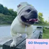 Chapéu grátis para cada conjunto em estoque roupas para animais de estimação marca de moda high-end roupas para cães jarre aero bull teddy schnauzer conjunto de camiseta