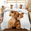 Ensembles de literie Golden Retriever Housse de couette Ensemble garçons motif animal couette double taille impression microfibre animaux chiens couette