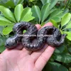 Natuurlijke Yooperlite Snake Skull Sculptuur Handgesneden Emberlite Gloeiende vuur Rock Quartz Stone Animal Witchy Decor Meditatie Crystal Collection Halloween Cadeau