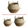 Baskets Zerolife Seaweed Wicker Basket With handle Rattan Hanging Flower Pot Dirty Clothes Basket Storage Children's Toy Sorting 3 Size