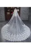 Branco champanhe marfim 3 metros véu de casamento catedral trem rendas artesanais apliques acessórios de noiva véus de noiva longo weddi4555573