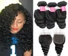 8A Peruvian Virgin Human Hair 3 Bundles With 4X4 Lace Closure Loose Wave Body Wave Straight Water Wave Deep Curly Peruvian Virgin 9072502