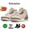 Jump Man 3 basketskor 3s Midnight Navy Medellin Sunset Pine Green Wizards Fire Red Palomino Racer Blue UNC Laser Orange White Cement Women Mens Trainer Sneakers