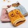 Odzież dla psów klasyczny dzianinowy sweter ze słodki kolor ubrania dla małych psów zimowa kurtka bez rękawów
