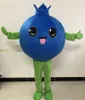 2024 Hot Sales Persimmon Mascottekostuum Carnaval Party Stage Performance Fancy Dress voor Mannen Vrouwen Halloween Kostuum