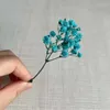 5 ~ 12 CM 30 PC Real Seco Babys BreathGypsophila Flores BranchMini Flor de Respiração de Bebê Preservada para Convites Decoração de Cartão 240315