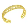 Homme Bijoux Acier Inoxydable Gold Bangle Jewlery Designer voor vrouwenarmband