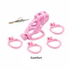 Kit de dispositivo de castidade masculino rosa personalizado cobra pênis anel galo gaiolas gaiola padrão brinquedo sexual