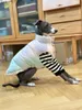 ملابس الكلاب الخريف والحيوانات الأليفة الشتوية لأسفل سترة ملابس صغيرة Whobit Greyhound Ropa Perro Dogs Excessories Designer