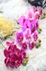 Ny ankomst Silk Moth Orchid Artificial Flower Butterfly Orchid Artificial Flowers for New House Home Wedding Festival Decorations9842565