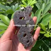 Natuurlijke Yooperlite Snake Skull Sculptuur Handgesneden Emberlite Gloeiende vuur Rock Quartz Stone Animal Witchy Decor Meditatie Crystal Collection Halloween Cadeau