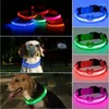 Colliers pour chiens, corde de Traction antichoc pour animaux de compagnie, réglable sans batterie, sangle de poitrine, plusieurs Modes de lumière nocturne, 8 couleurs Led