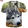 Magliette da uomo HX Stampa 3D Pet Dog Husky Camicia Uomo Harajuku Animale Unisex Hip Hop Streetwear Top Z167