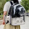 Rucksäcke transparente Katze, die Taschen Space atmreable Haustier Rucksack tragbarer Welpe Hunde Rucksack Transportträger Raumkapselbeutel Haustiere