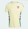 2024 Jersey w Wales Soccer 23/24 Home Red Allen Bale Ramsey Shirt James Wilson Brooks Giggs Away Football Mundlid