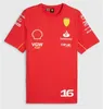 F1 Racing Polo Shirts Formula One Team 티셔츠 2024 여름 새로운 레이싱 팬 야외 짧은 슬리브 캐주얼 스포츠 탑 티셔츠