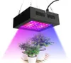 New 80W LED Grow Light 42leds IP66 indoor Hydroponic System Plant grow light For Greenhouse Flowering and Growing3488420