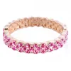 Bangle BN-00233 Purple Rhinestone for Women Rose Gold Gold Luxury Designer Jewelry Girtsmaid Gift