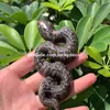 Natuurlijke Yooperlite Snake Skull Sculptuur Handgesneden Emberlite Gloeiende vuur Rock Quartz Stone Animal Witchy Decor Meditatie Crystal Collection Halloween Cadeau