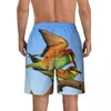 Shorts pour hommes Plumes de couleur d'oiseau Planche d'été Animal Mode Running Surf Beach Pantalon court Hommes Séchage rapide HawaiiPlus Taille Maillot de bain